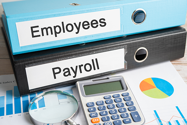 Employees, Payroll Binder data finance report